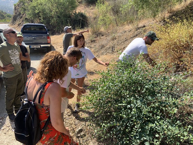 Paphos foraging trip