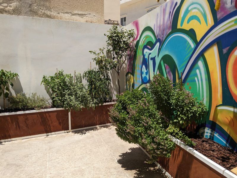 Community garden in Paphos 2
